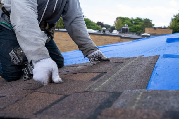 Best Storm Damage Roof Repair  in Combee Settlement, FL