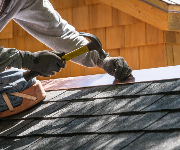 Best Shingle Roofing Installation  in Combee Settlement, FL